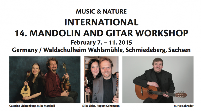 mandolin workshop 2015