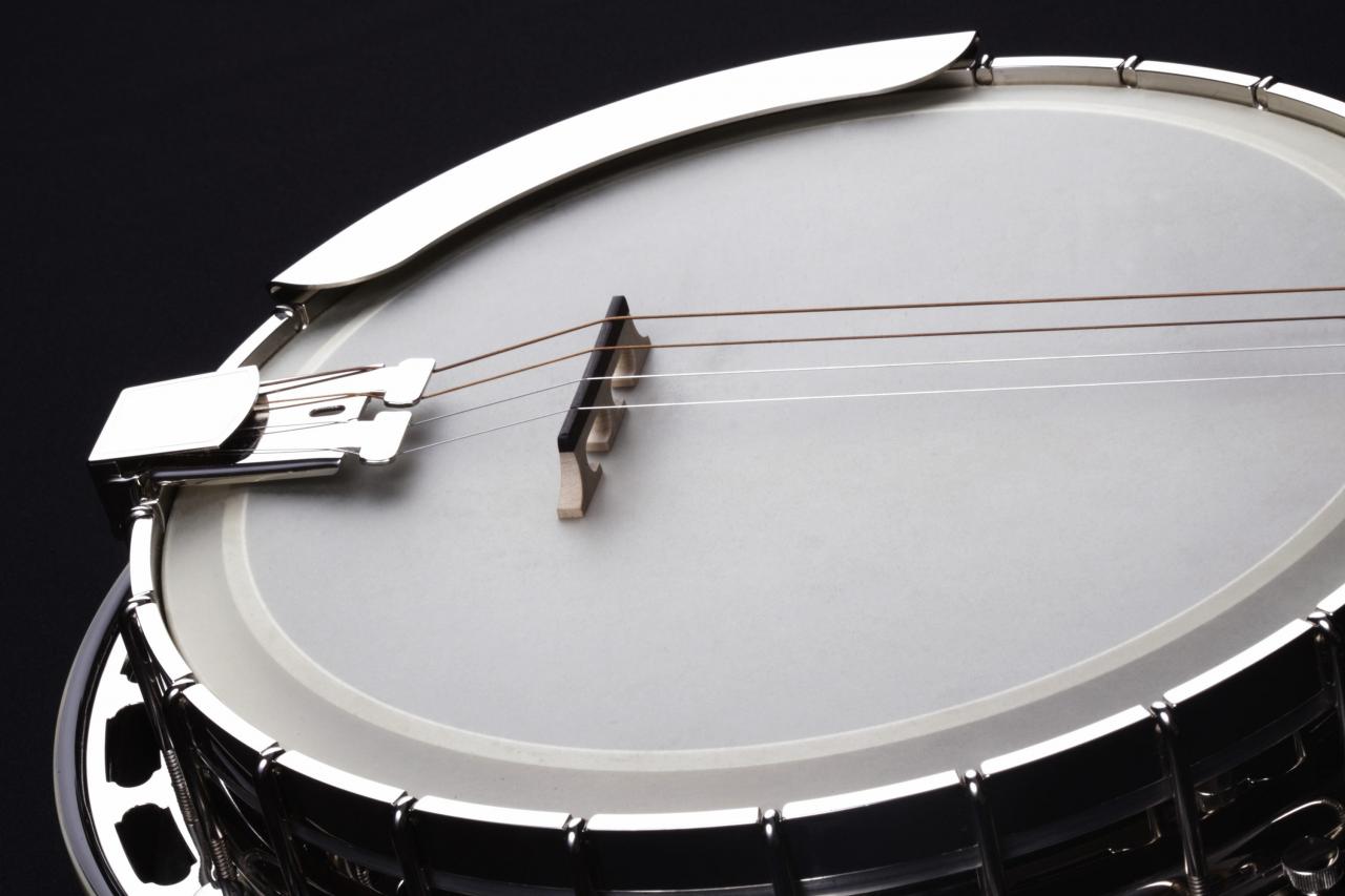 planes Tendencia insalubre Banjo Lessons | Learn Banjo Online | ArtistWorks