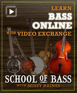 online bass lessons