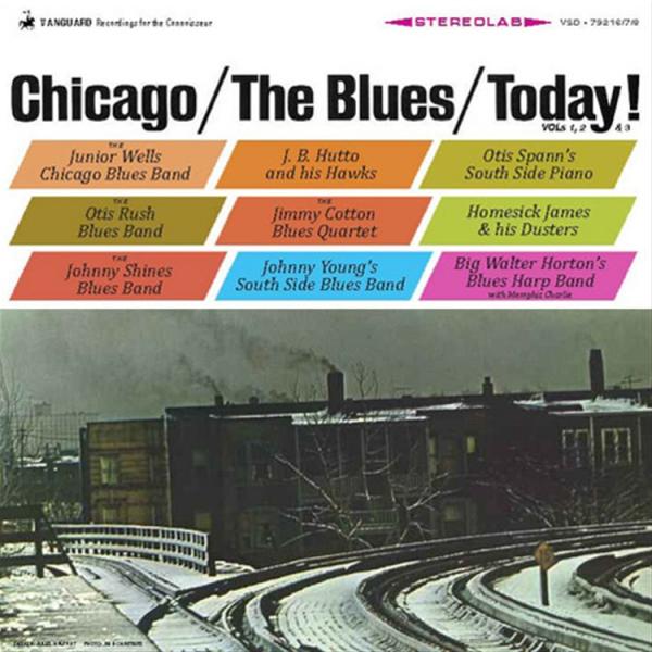 chicago the blues today