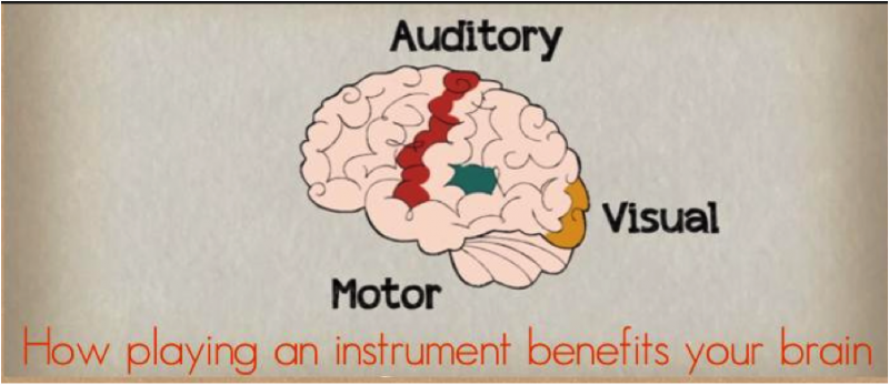 how-playing-an-instrument-benefits-your-brain-artistworks