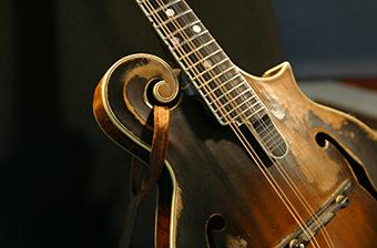 The Mandolin  Indiginus